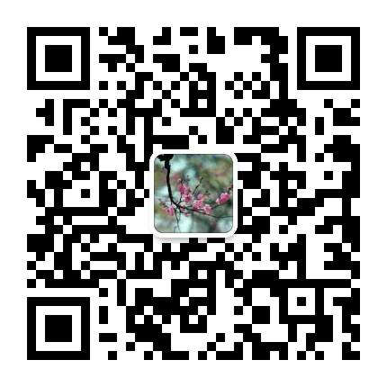 拋丸機(jī)配件